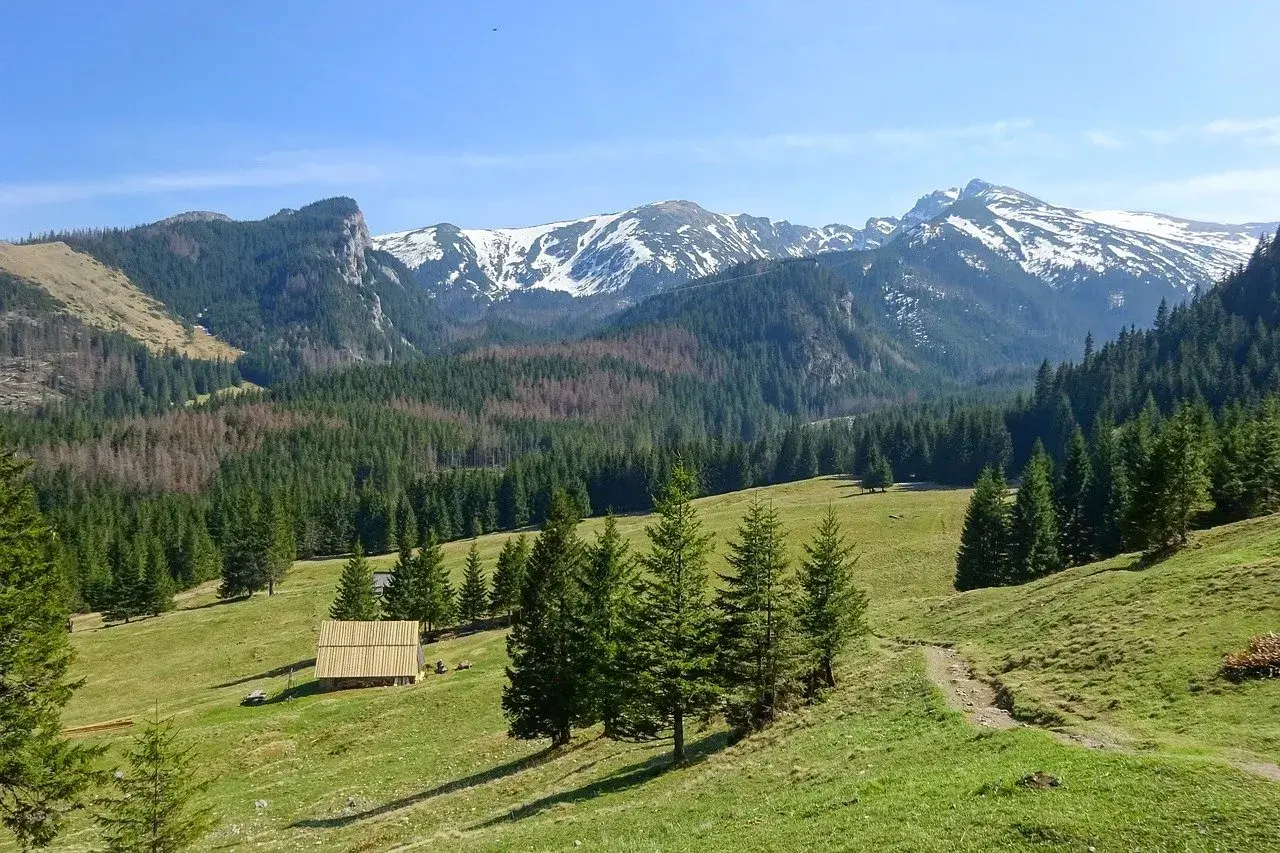 Zielony górski krajobraz z lasem świerkowym, drewnianą chatką i ośnieżonymi szczytami w tle. Idealne miejsce na tatrzańskie szlaki.