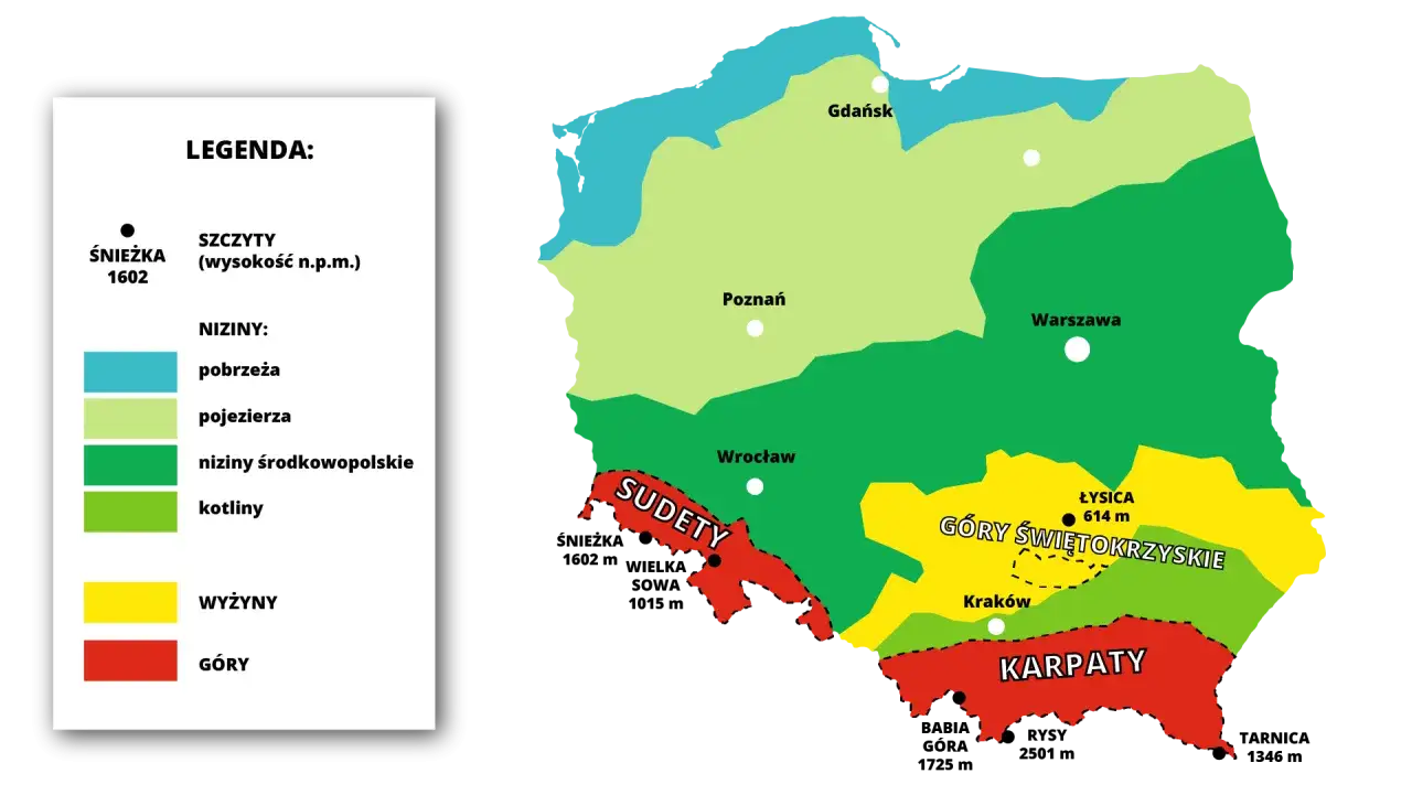 Mapa Polski z podziałem na niziny, wyżyny i góry. Sudety, Góry Świętokrzyskie i Karpaty to najwyższe rejony, w przeciwieństwie do nizin środkowopolskich, które są najniższe w Polsce.