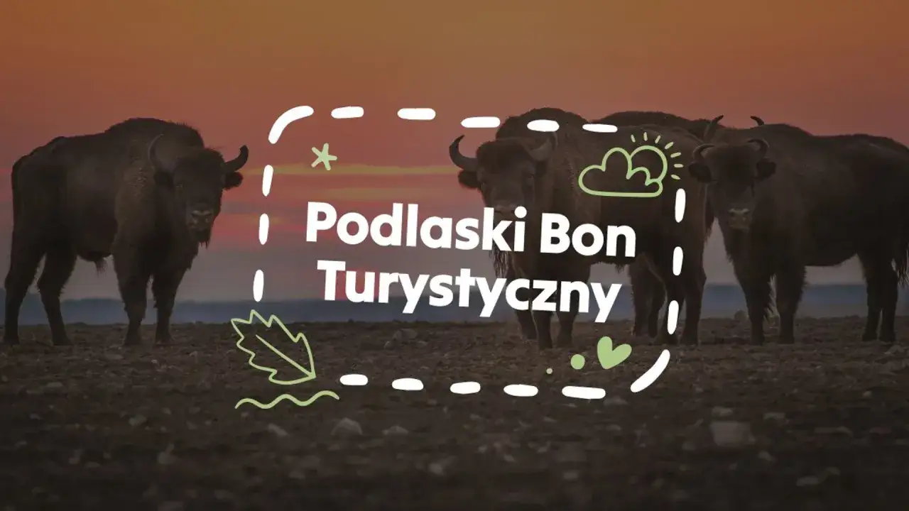 Żubry na tle zachodzącego słońca. Napis