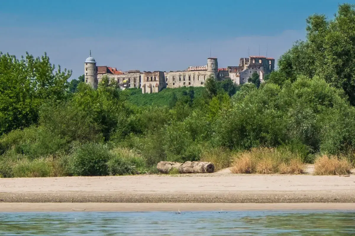 Zamek w Janowcu góruje nad zielonymi wzgórzami, otoczony bujną roślinnością. Ruiny zamku widać zza drzew, nad piaszczystym brzegiem rzeki.