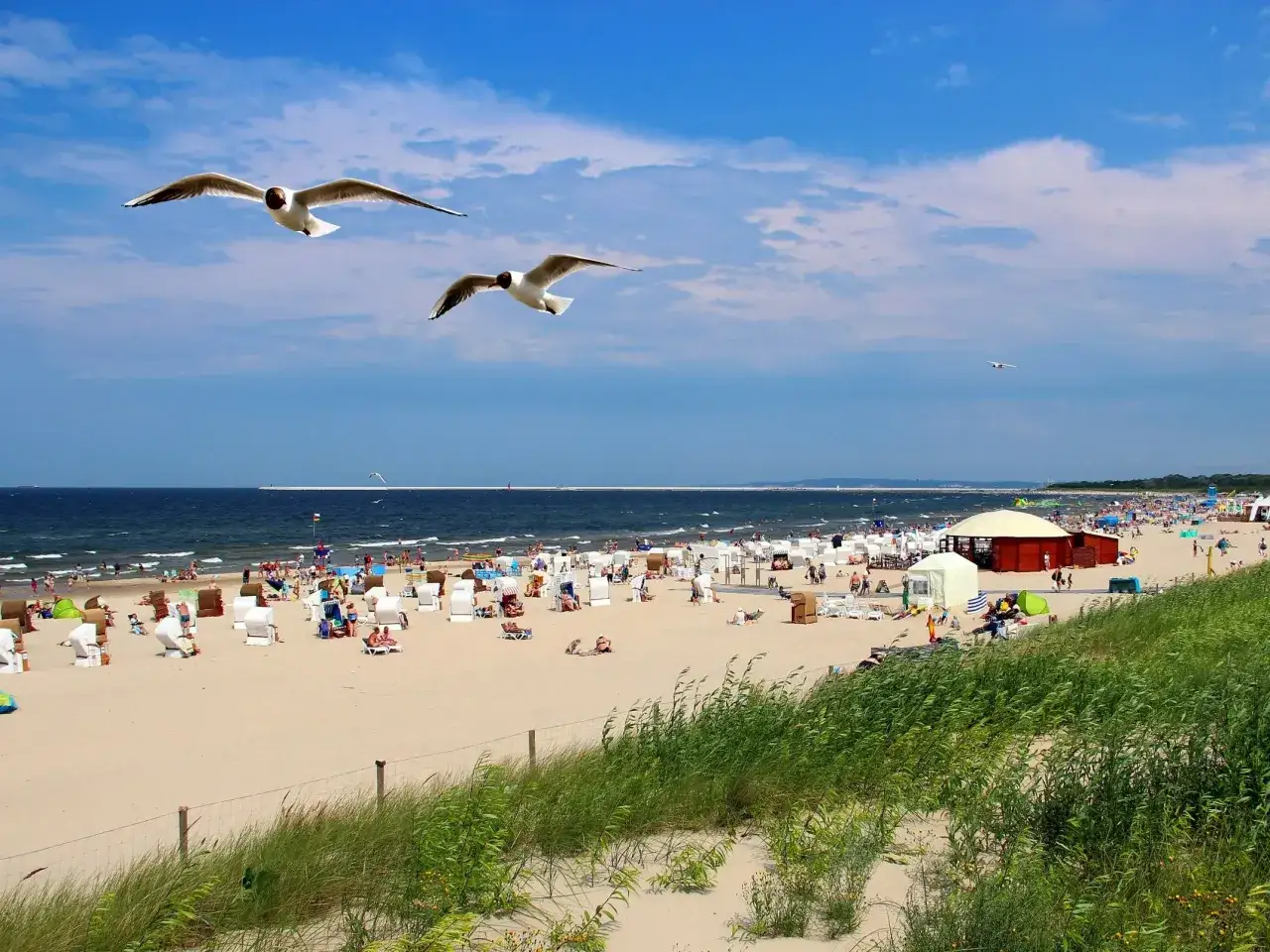 Słoneczna plaża z mnóstwem turystów i mewami na niebie. Idealne miejsce, by poczuć, gdzie najcieplejsza woda w Bałtyku.