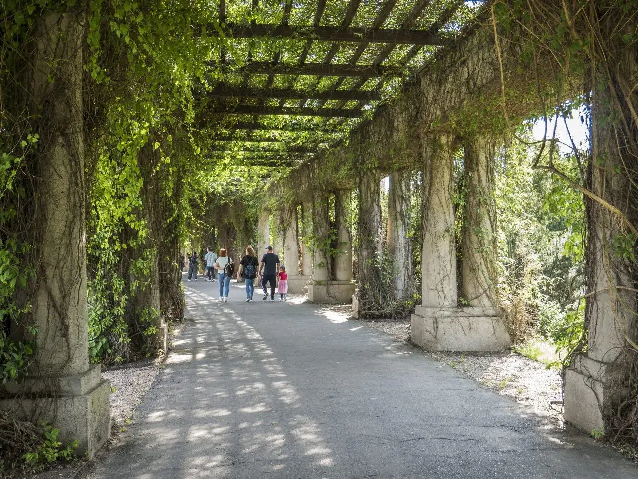 Spacer po Pergoli w Ogrodzie Botanicznym we Wrocławiu. Idealne miejsce na darmowe atrakcje Wrocław, gdzie można podziwiać zieleń i architekturę.