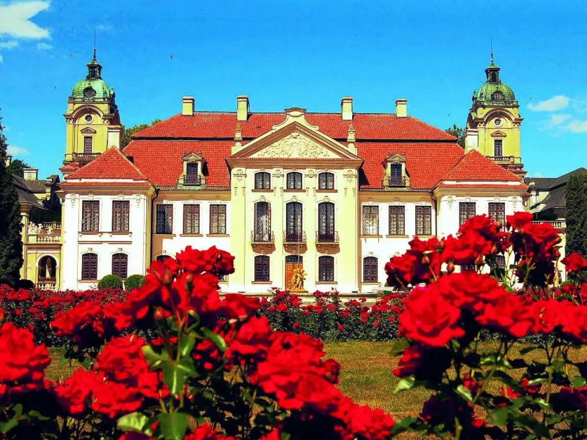 Pałac Zamoyskich w otoczeniu kwitnących czerwonych róż, z zielonymi kopułami wież na tle błękitnego nieba.