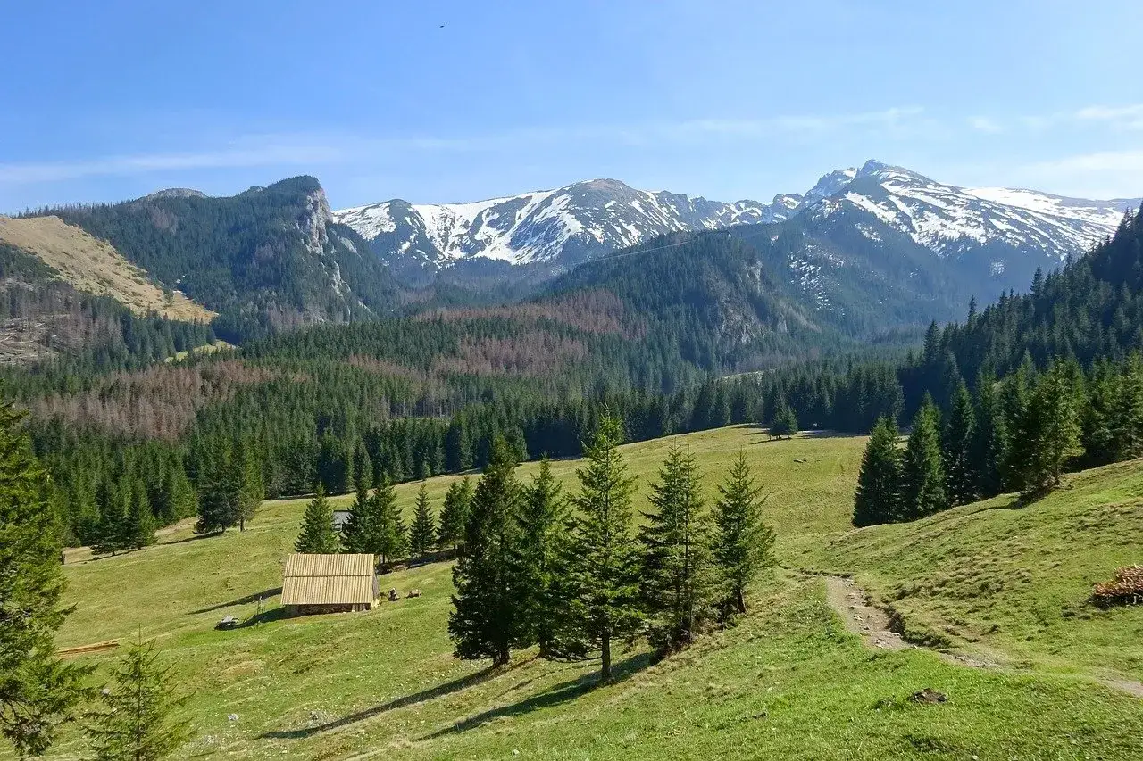 Łagodne zbocza, lasy i ośnieżone szczyty Tatr – idealne miejsce na zakopane dla początkujących. Drewniana chata wita w malowniczej dolinie.