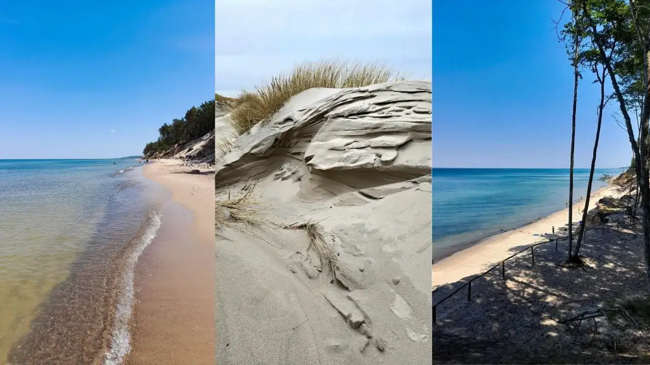Trzy panele ukazujące dziką plażę: spokojne morze, piaszczyste wydmy i las sosnowy nad brzegiem.