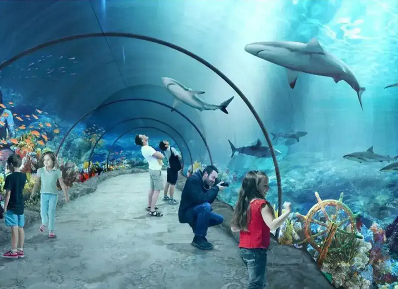 Podwodny tunel w oceanarium Niechorze. Ludzie podziwiają rekiny i kolorowe ryby pływające nad ich głowami.