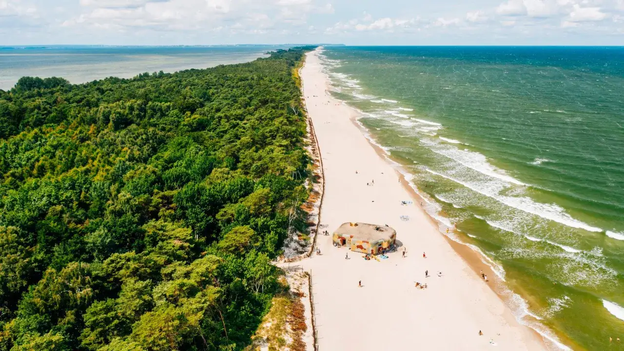 Piękna plaża z lasem sosnowym, idealne miejsce, gdzie jechać na maj&oacute;wkę. W oddali widać morze i falochron.