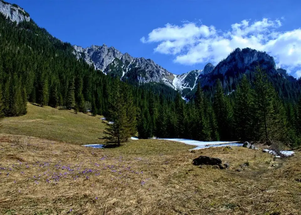 Kościelisko - co zobaczyć, gdy chcesz spokojnego dnia w Tatrach?